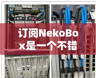 订阅NekoBox是一个不错的选择，但如果想要更全面的了解，可以按照以下步骤进行