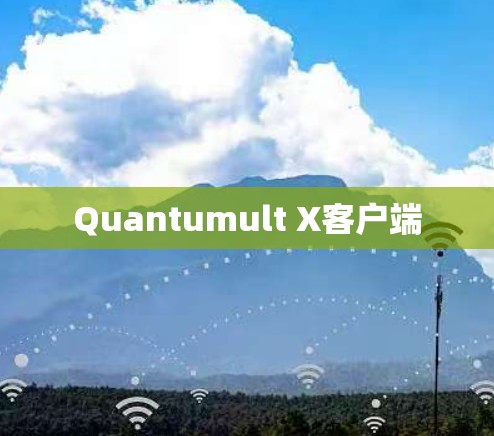 Quantumult X客户端