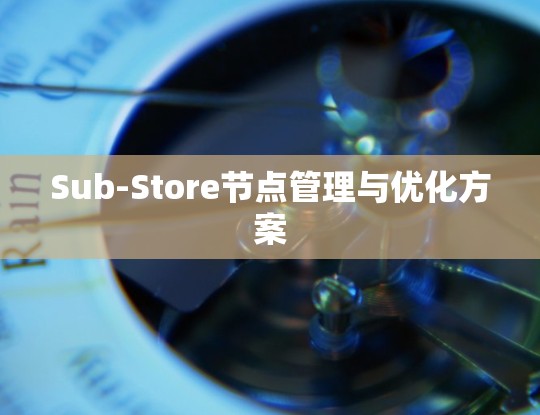 Sub-Store节点管理与优化方案