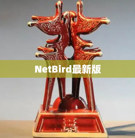 NetBird最新版