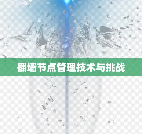 翻墙节点管理技术与挑战
