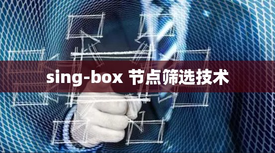 sing-box 节点筛选技术