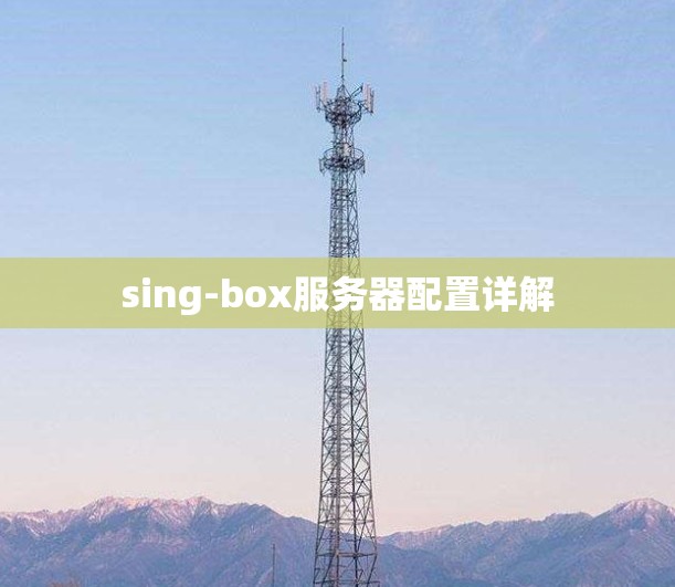 sing-box服务器配置详解