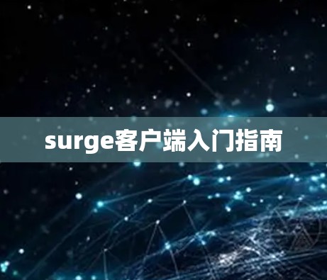 surge客户端入门指南