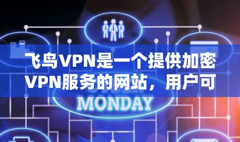 飞鸟VPN是一个提供加密VPN服务的网站，用户可以通过访问其官方网站登录并使用。以下是一步步的使用指南