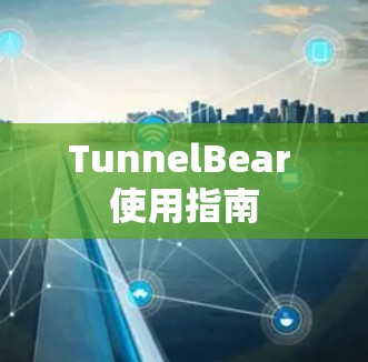 TunnelBear 使用指南