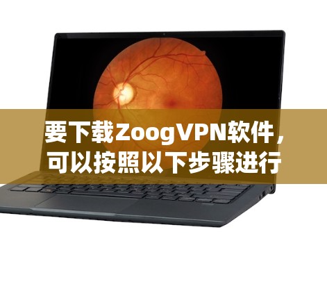 要下载ZoogVPN软件，可以按照以下步骤进行