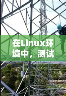 在Linux环境中，测试网络性能可以使用一些测速工具。以下是一些常用且易于使用的Linux网络测速软件