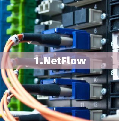 1.NetFlow