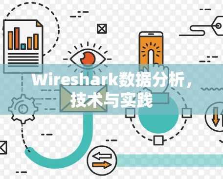 Wireshark数据分析，技术与实践