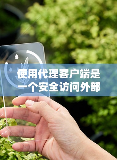 使用代理客户端是一个安全访问外部服务器或网站的有效方法，尤其是在面对非法或恶意网站时。以下是一个详细且结构化的步骤指南，帮助你系统地使用代理客户端