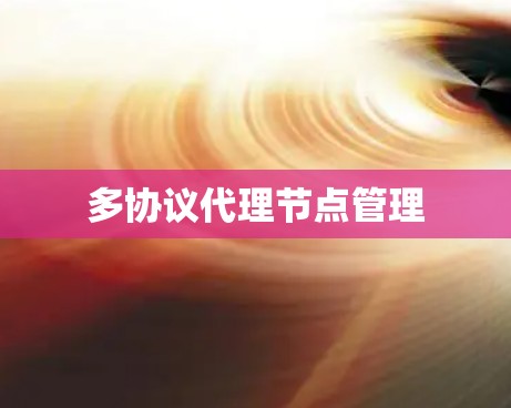 多协议代理节点管理
